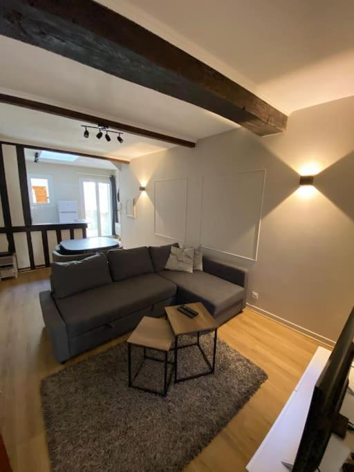 Appartement Charmant Hypercentre Avec Patio Prive Et Parking Orlean Zewnętrze zdjęcie